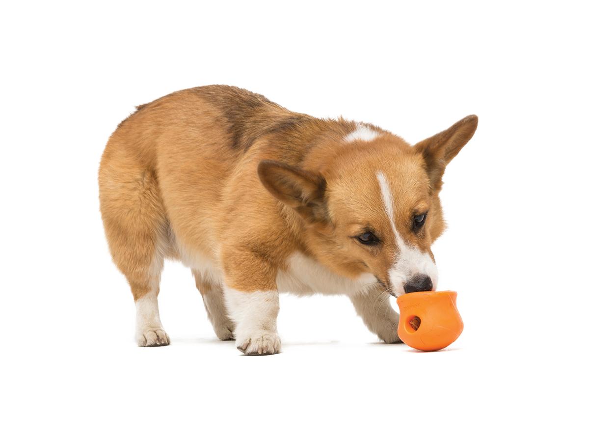 West Paw Toppl S - Bilde 3